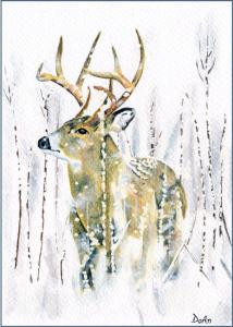 Winter Deer 